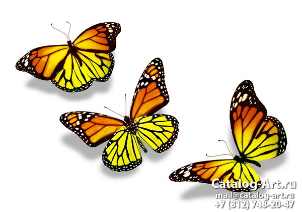  Butterflies 132